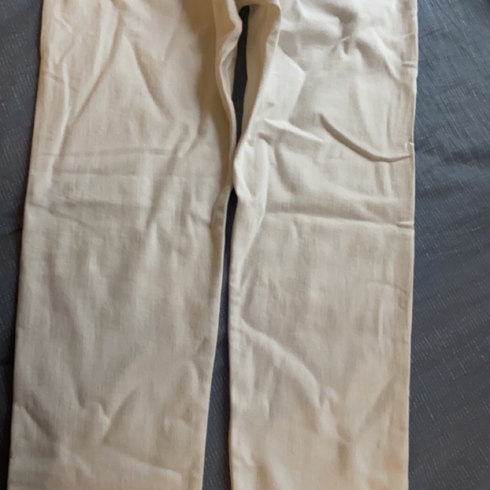 Agnona Pants (50IT)